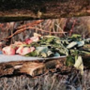 Meet your Posher, Corinne yuen